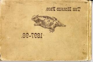 The 1898 yearbook, called the Horned Frog, featured a picture of a horned lizard on the cover